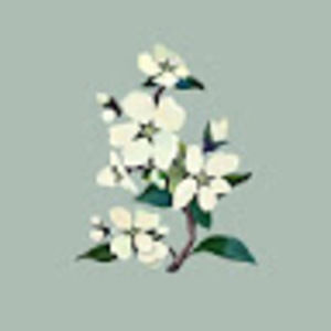 Meet your Posher, Salene